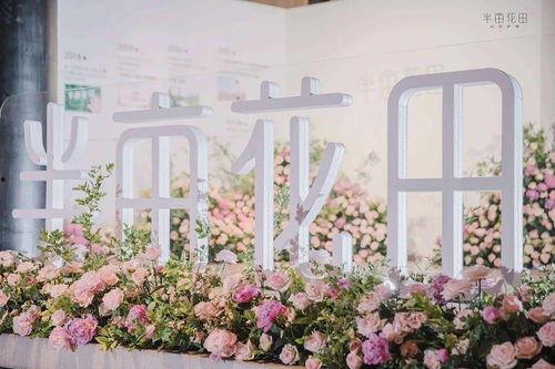 爆料半亩花田视频大全集,揭秘美丽秘诀与护肤心得 第1张 爆料半亩花田视频大全集,揭秘美丽秘诀与护肤心得 第1张